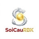 soicaurbk3