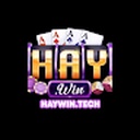 haywintech1
