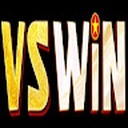 vswinws