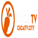 cucaitvcity